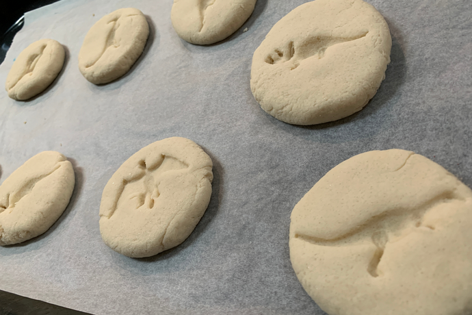 DIY Crafts: Salt Dough Dinosaur Fossils