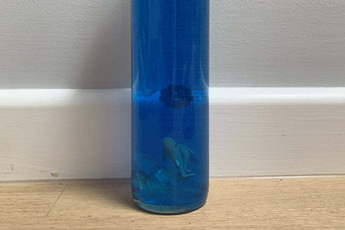 DIY Ocean Sensory Bottle