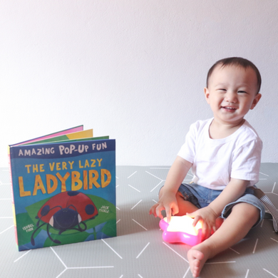 3 Month Little Hands Bookclub Gift Subscription - 2 Books